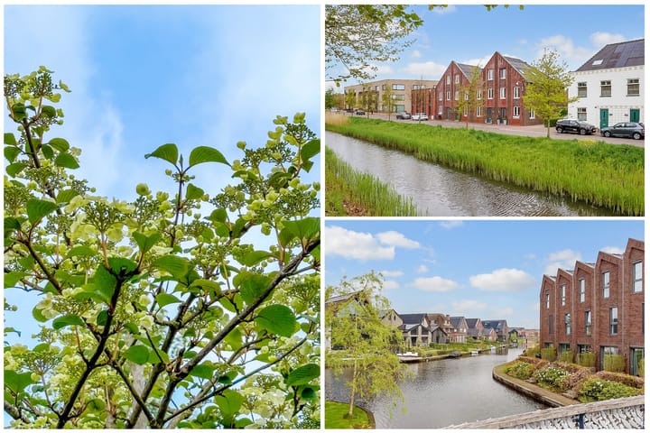 Foto 49 van Baak van Zierikzee 52