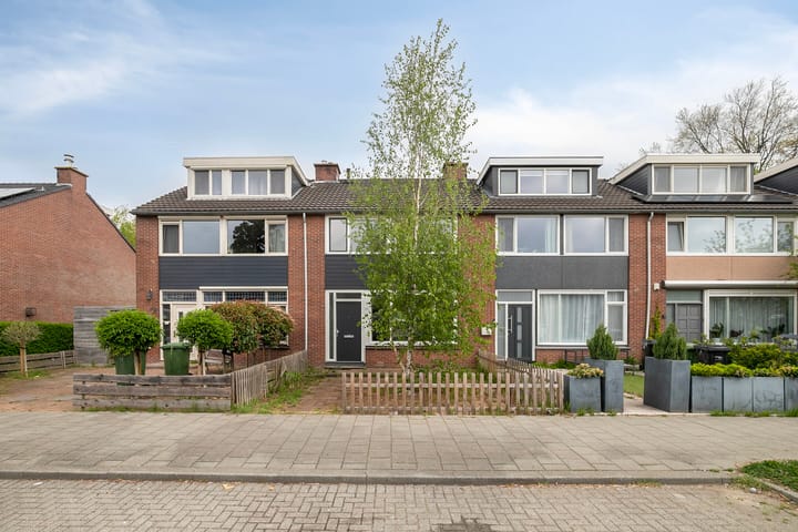 Foto 1 van Raaigras 25