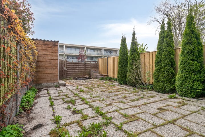 Foto 8 van Raaigras 25