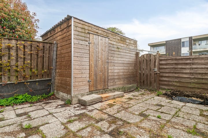 Foto 9 van Raaigras 25