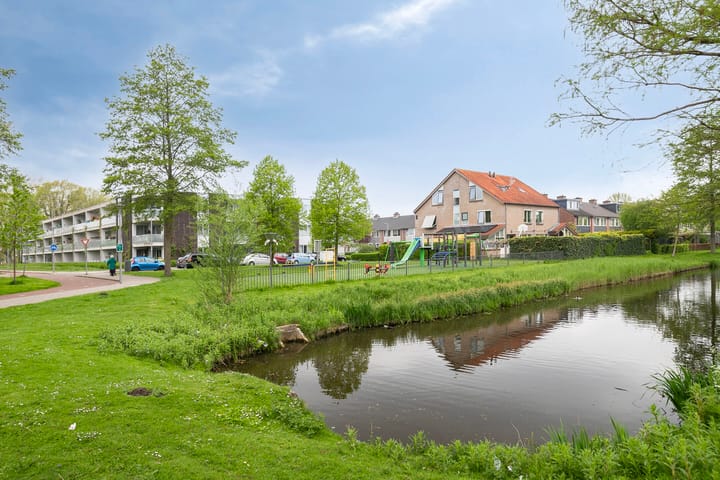 Foto 33 van Raaigras 25