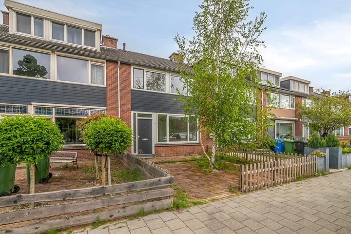 Foto 36 van Raaigras 25