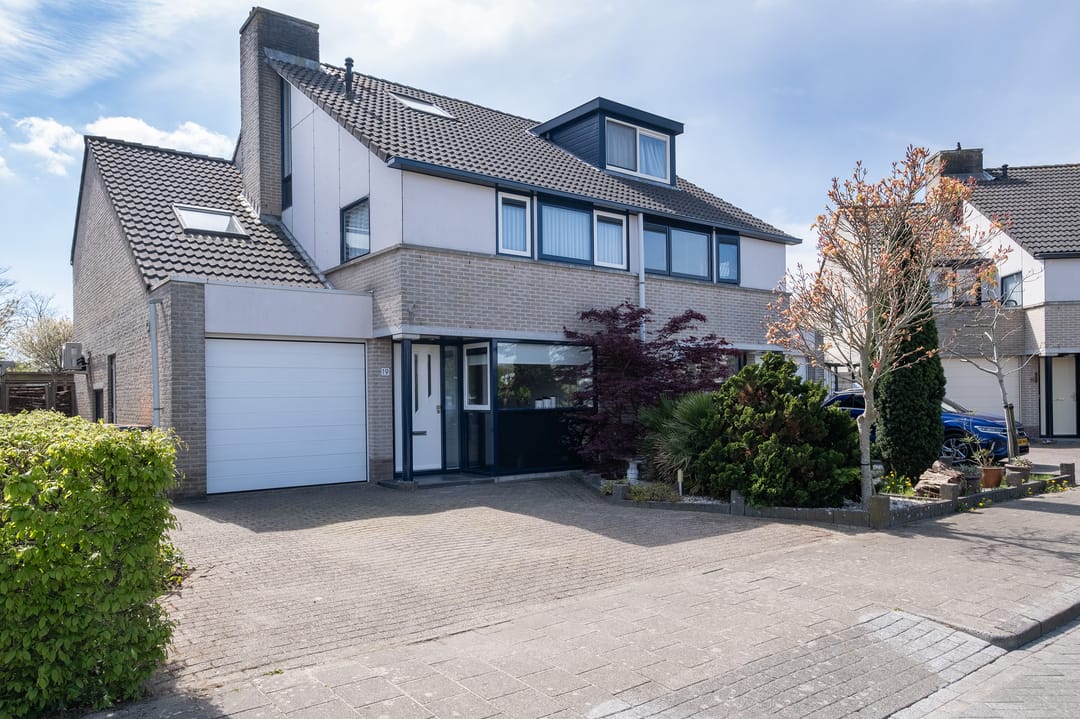 Foto 1 van Nijlkrokodil 19