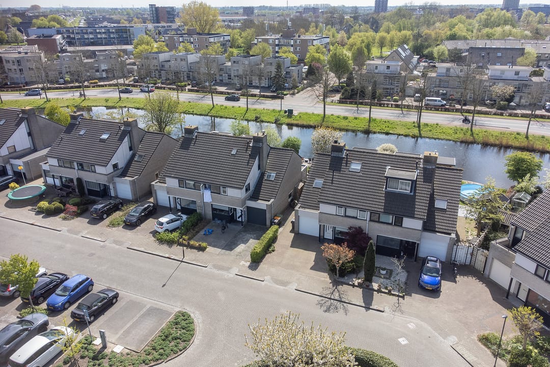 Foto 2 van Nijlkrokodil 19