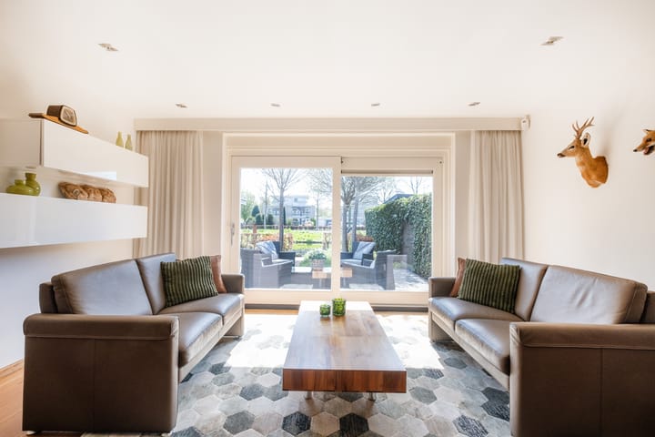 Foto 8 van Nijlkrokodil 19