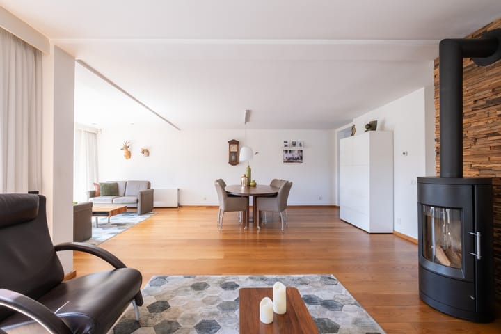 Foto 9 van Nijlkrokodil 19