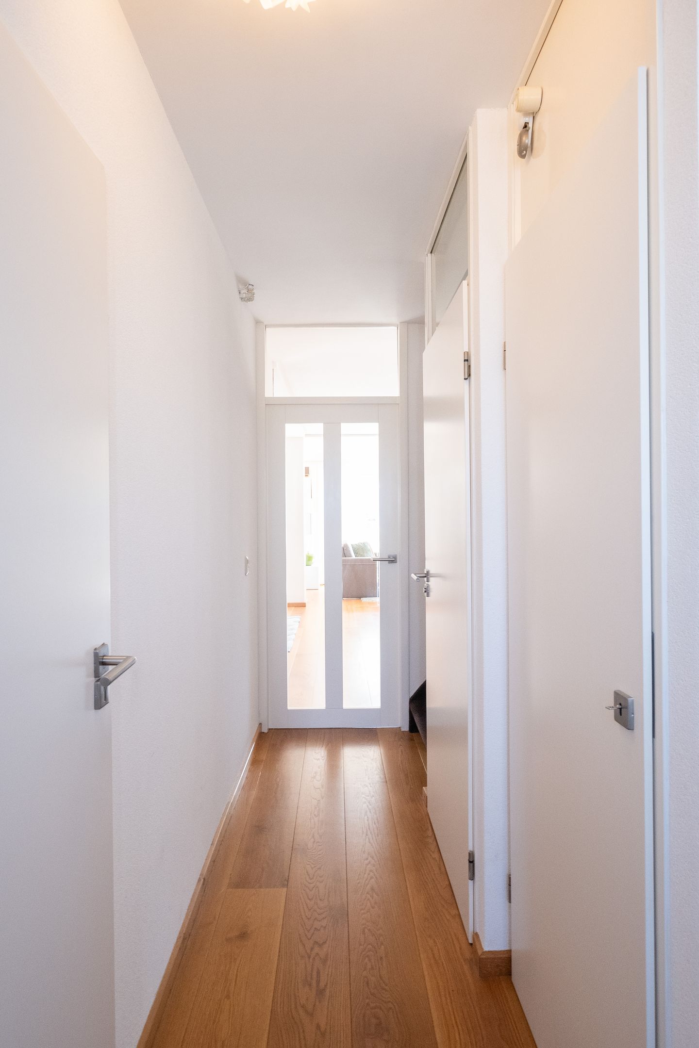 Foto 14 van Nijlkrokodil 19