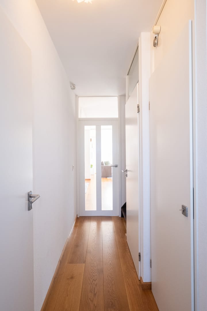 Foto 14 van Nijlkrokodil 19