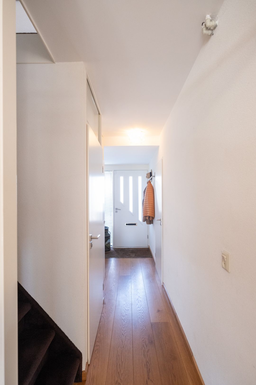 Foto 16 van Nijlkrokodil 19