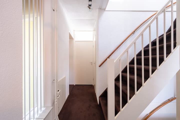 Foto 18 van Nijlkrokodil 19