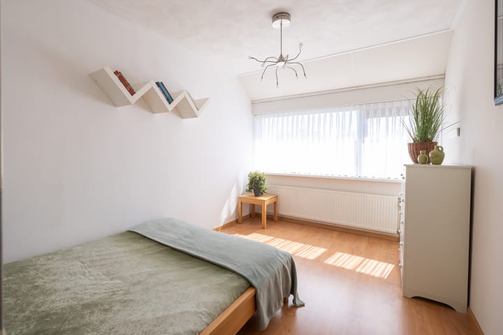 Foto 22 van Nijlkrokodil 19