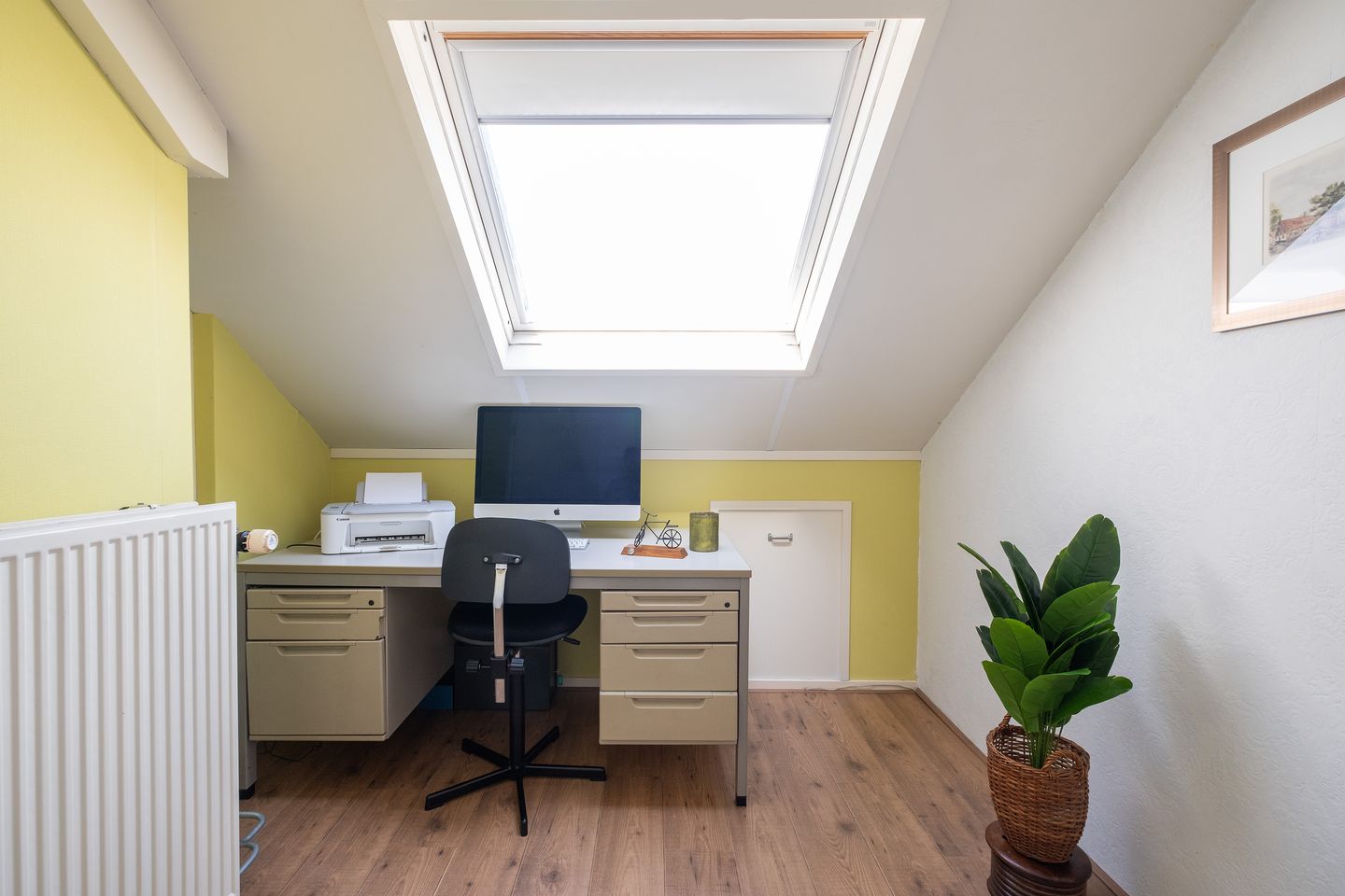 Foto 25 van Nijlkrokodil 19