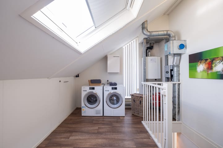 Foto 29 van Nijlkrokodil 19