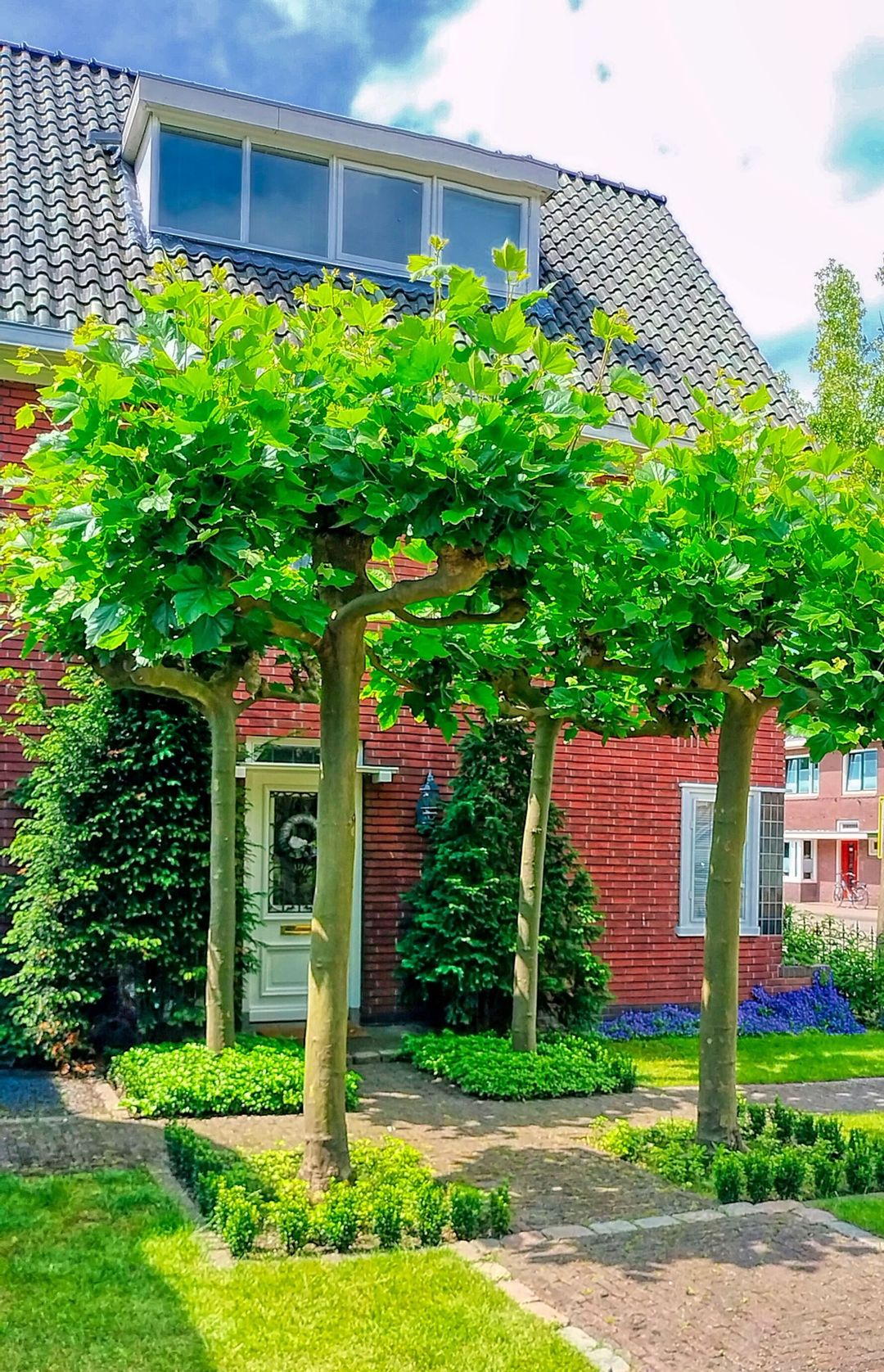 Foto 26 van Oldenzaalsestraat 352