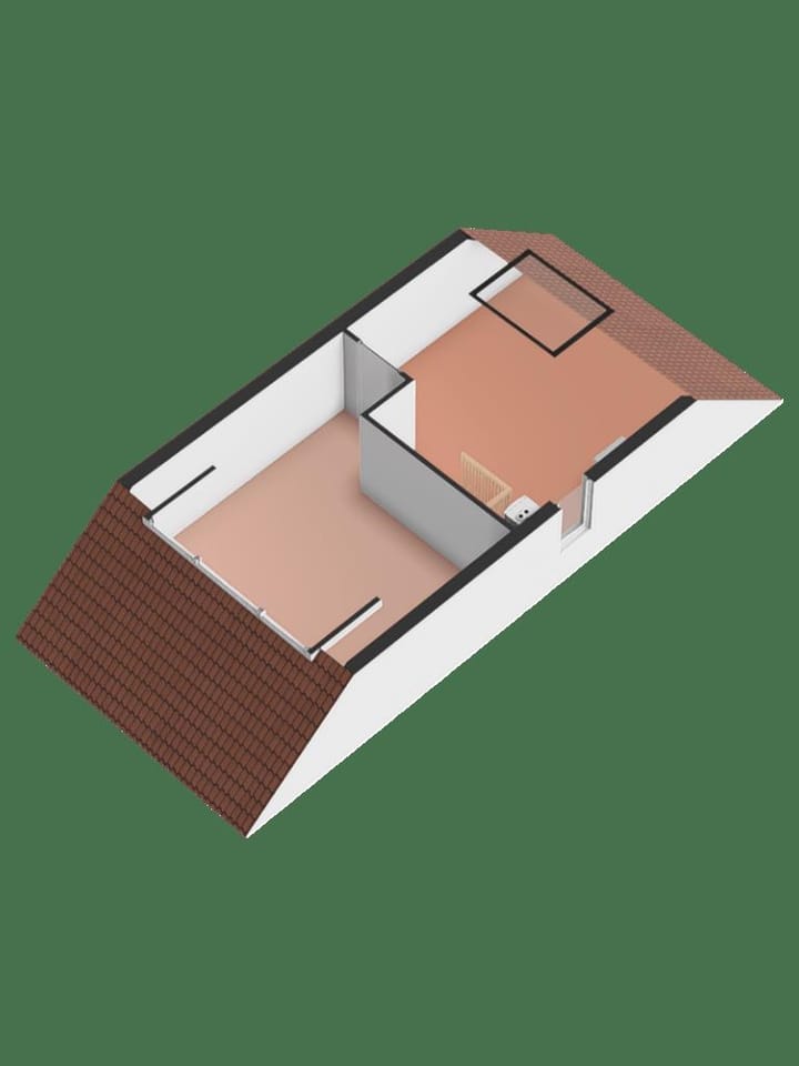 Foto 31 van Nijlkrokodil 19