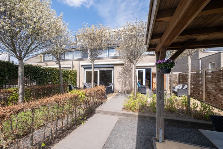 Foto 32 van Nijlkrokodil 19