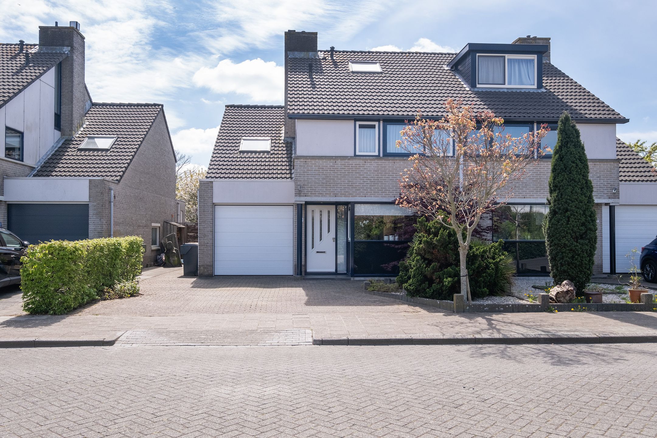 Foto 39 van Nijlkrokodil 19