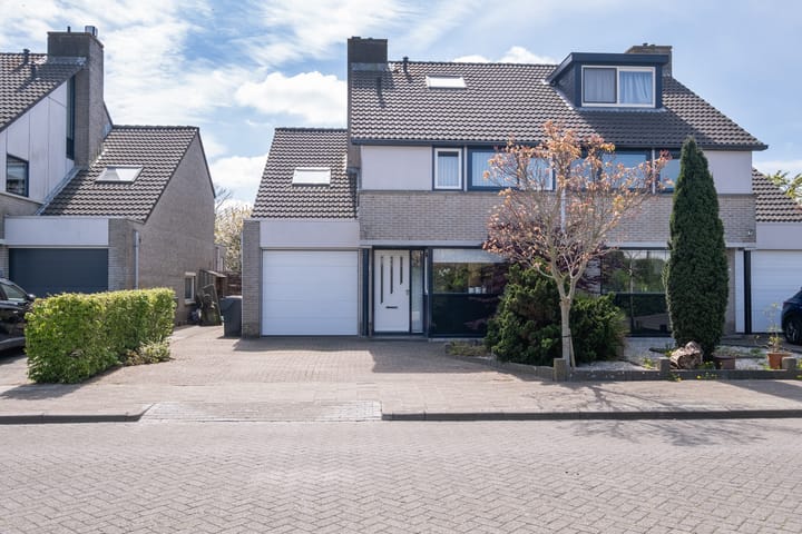 Foto 39 van Nijlkrokodil 19