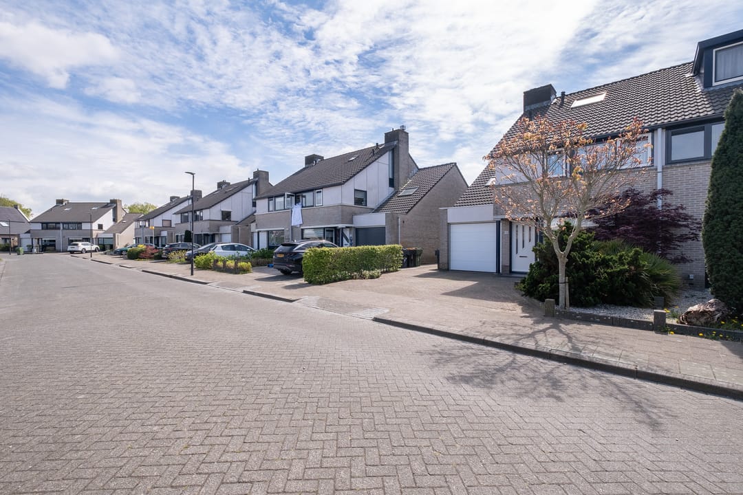 Foto 41 van Nijlkrokodil 19