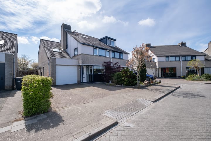 Foto 40 van Nijlkrokodil 19