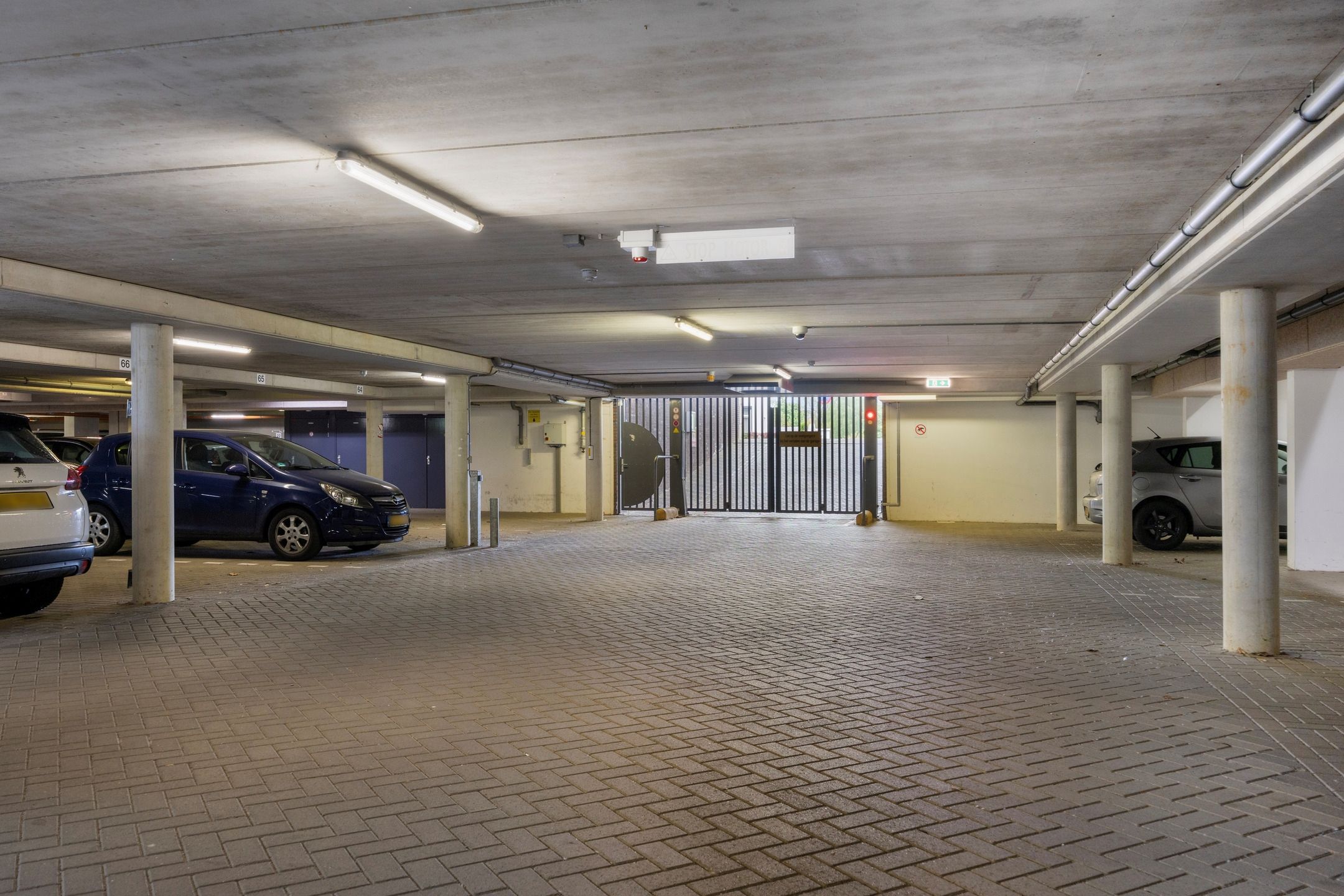 Photo 21 of Martin Lamkincour 20