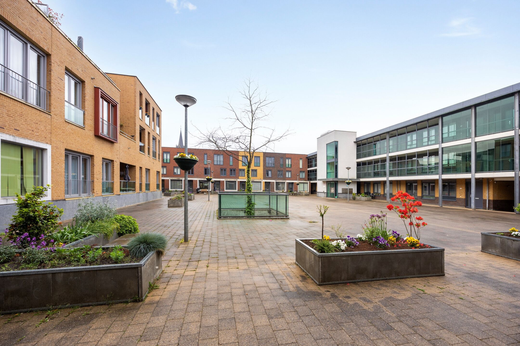 Photo 27 of Martin Lamkincour 20