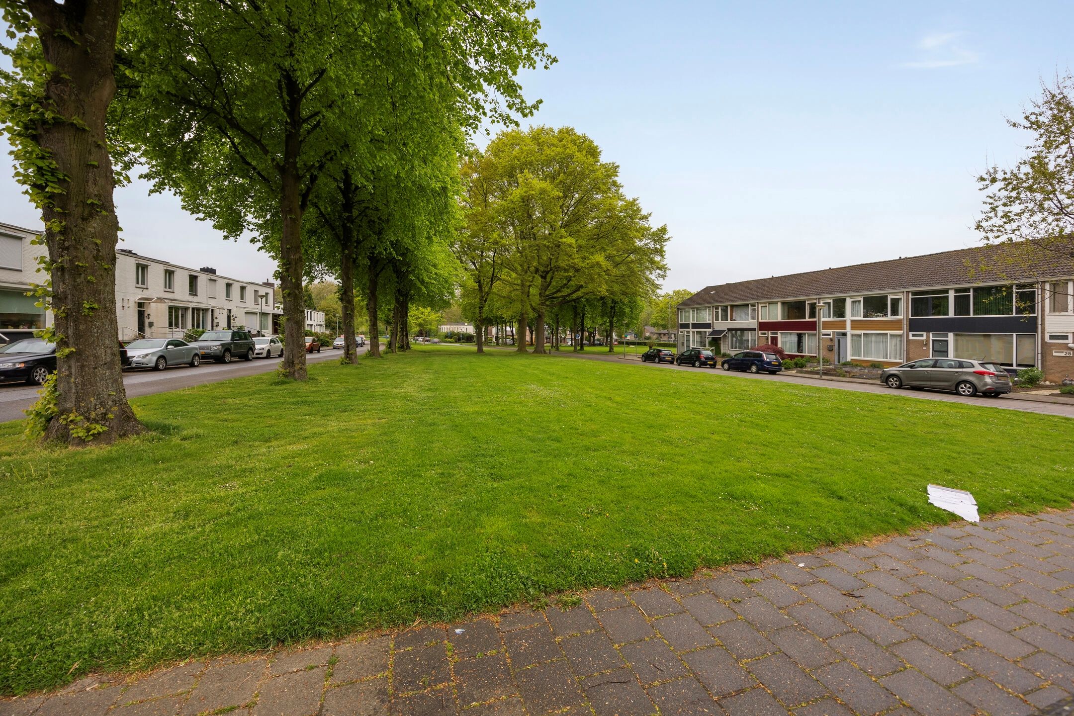 Photo 30 of Martin Lamkincour 20