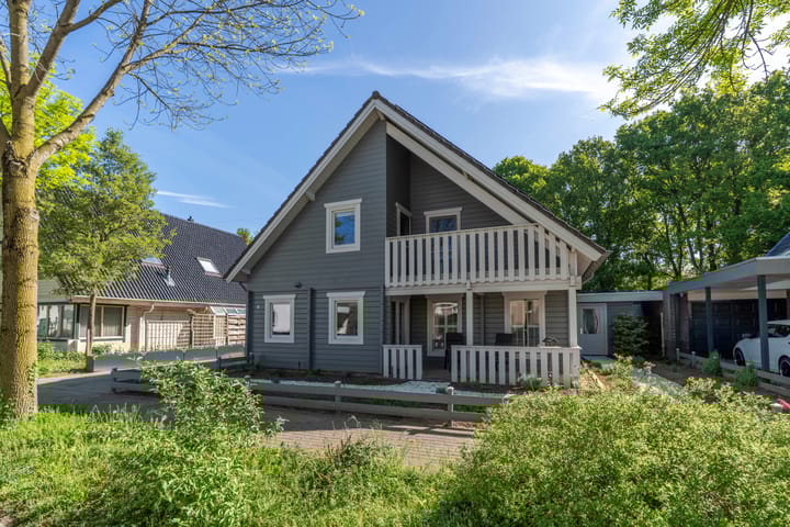 Foto 5 van Zilverschoon 8