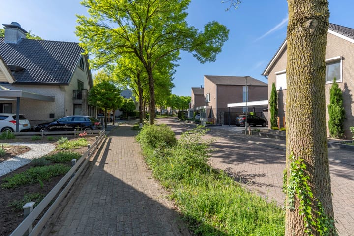 Foto 8 van Zilverschoon 8