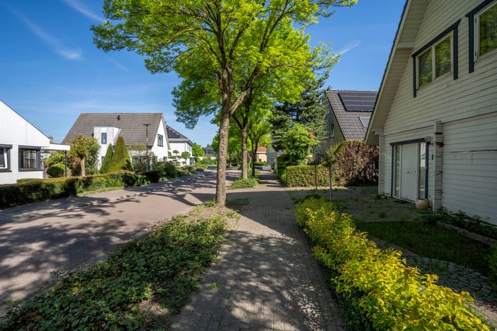 Foto 9 van Zilverschoon 8