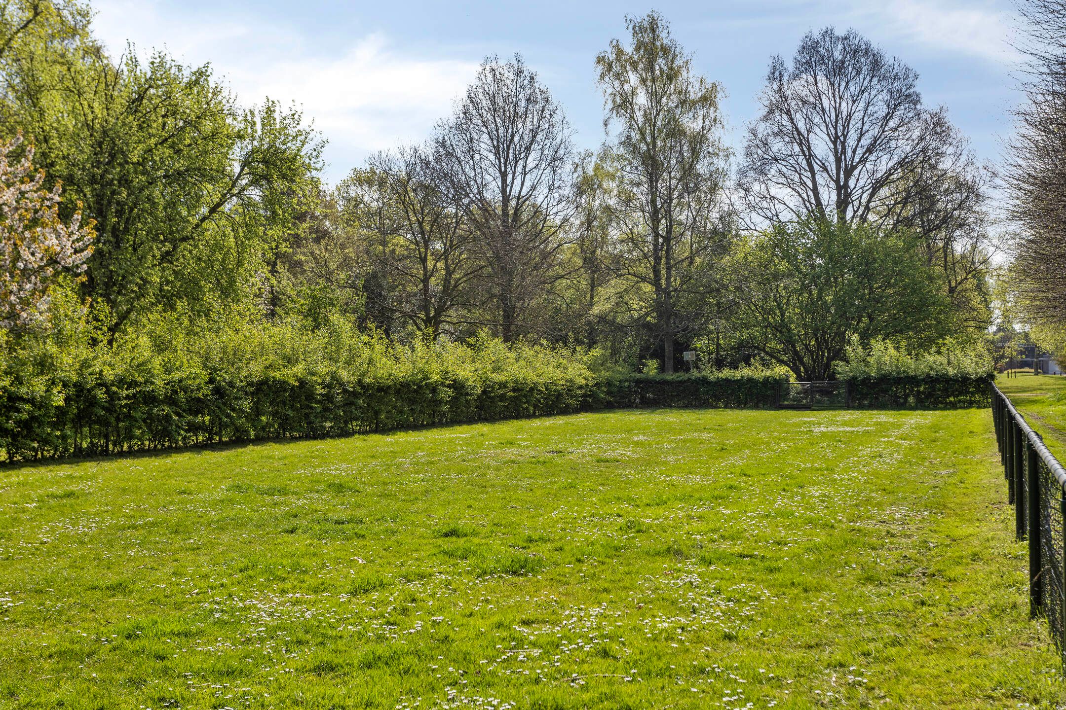 Foto 36 van Friesegracht 57