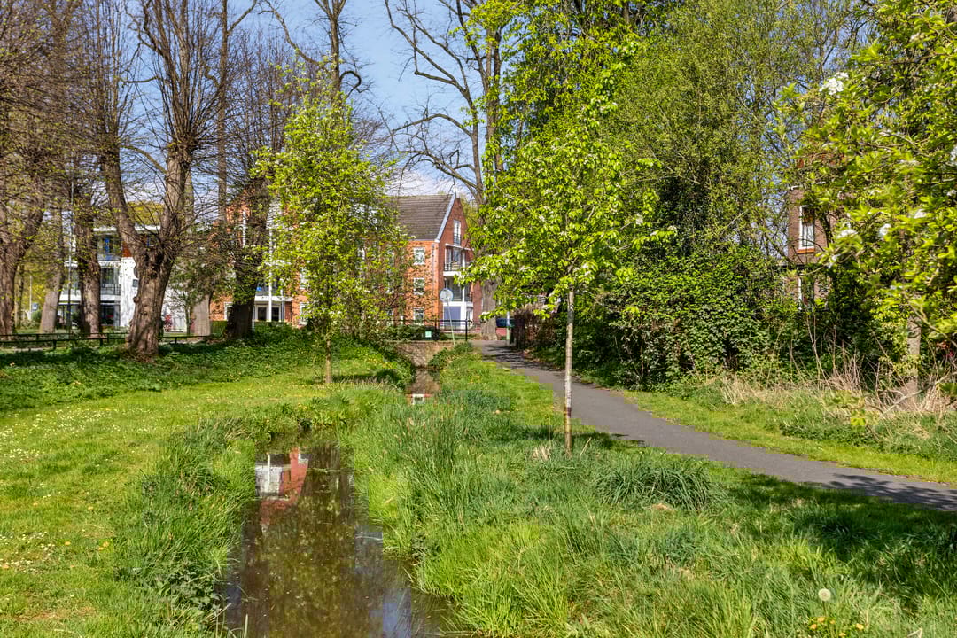 Foto 37 van Friesegracht 57