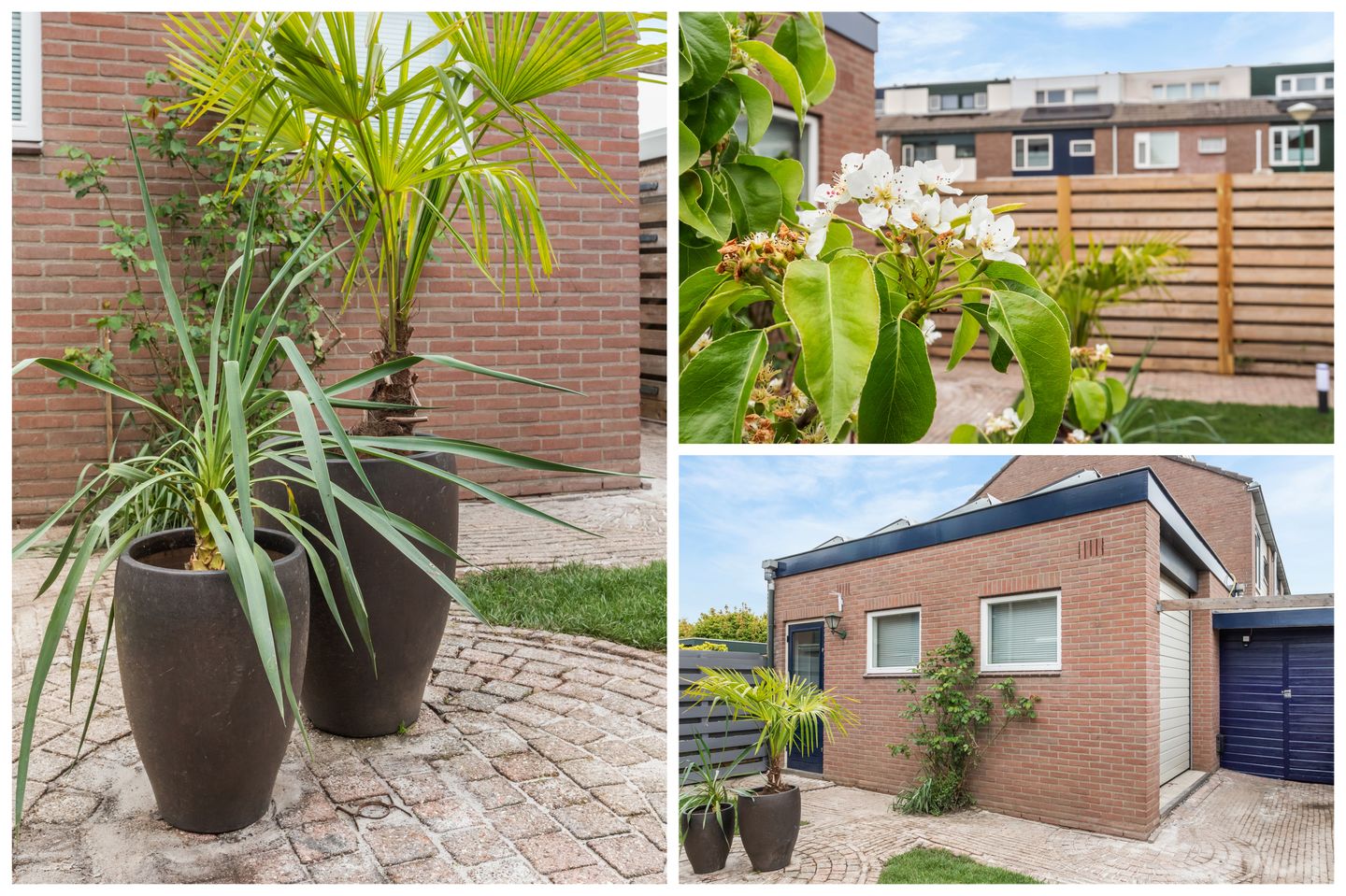 Foto 29 van Duivenkamp 748