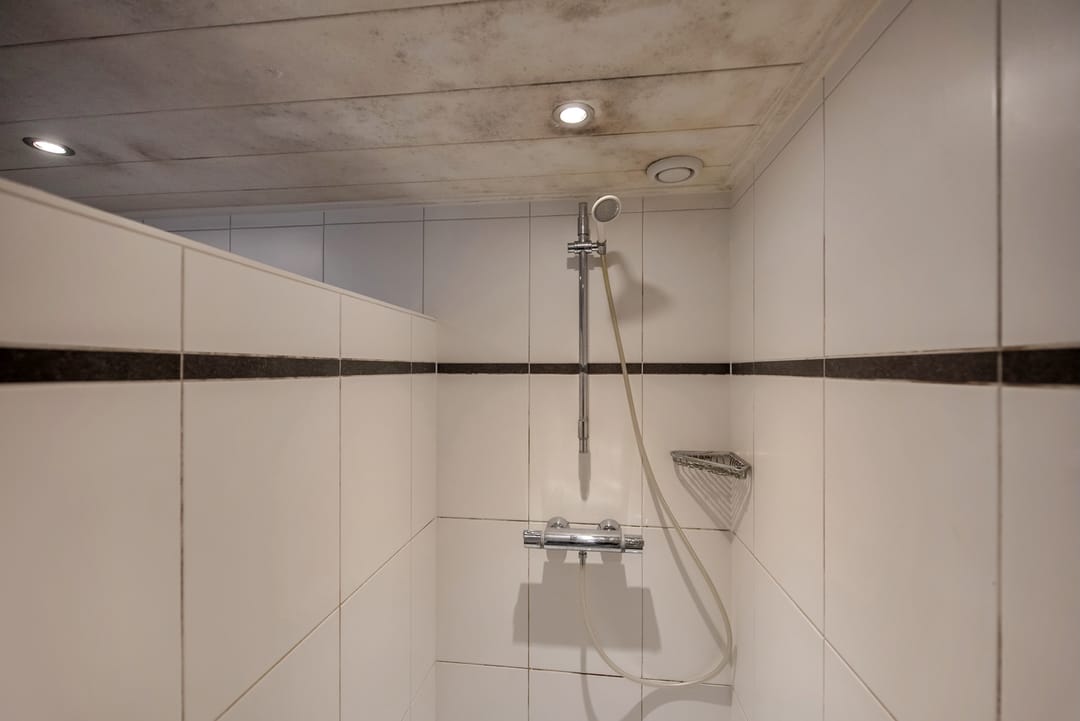 Foto 26 van C. Fockstraat 19