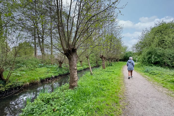 Foto 39 van Ronhaarstraat 94