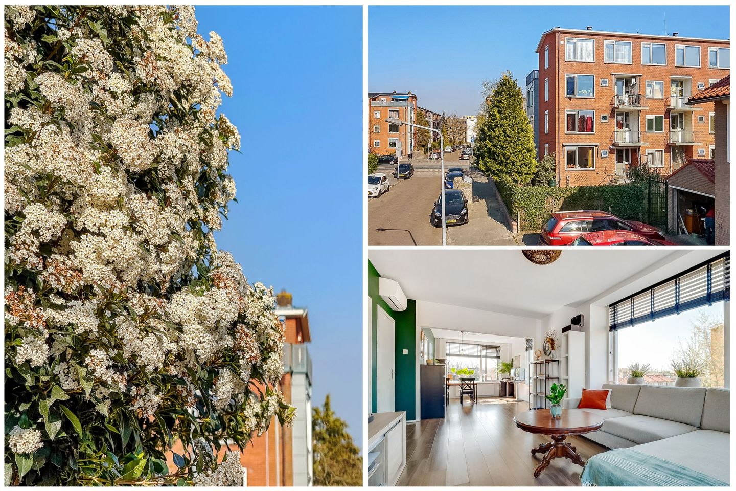 Foto 20 van Oosterengweg 344