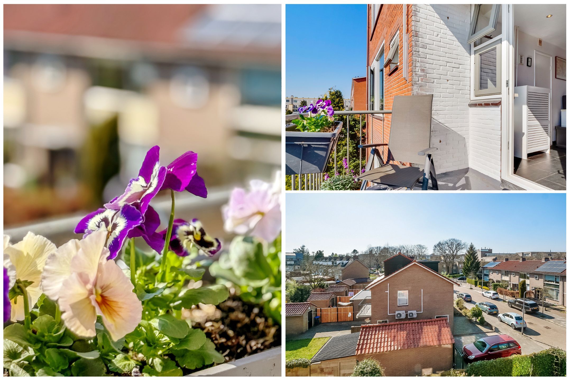 Foto 24 van Oosterengweg 344