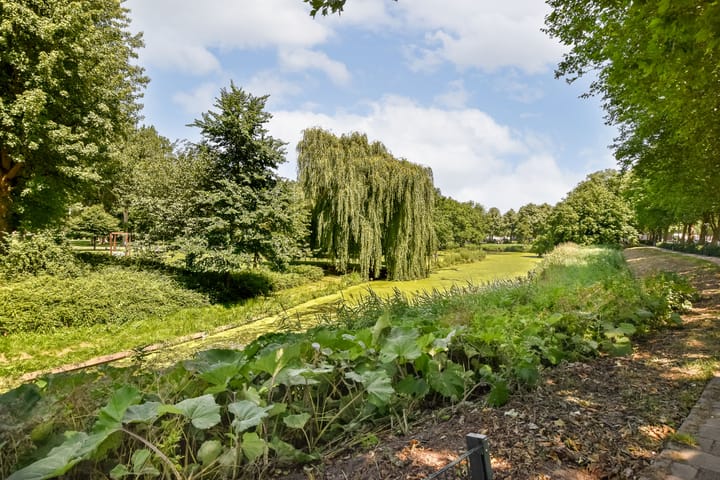 Foto 35 van Akbarstraat 18-C