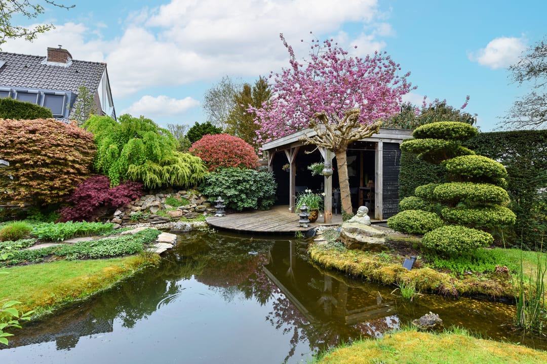 Photo 38 of 't Bon 7