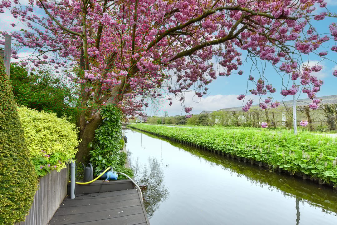 Photo 43 of 't Bon 7