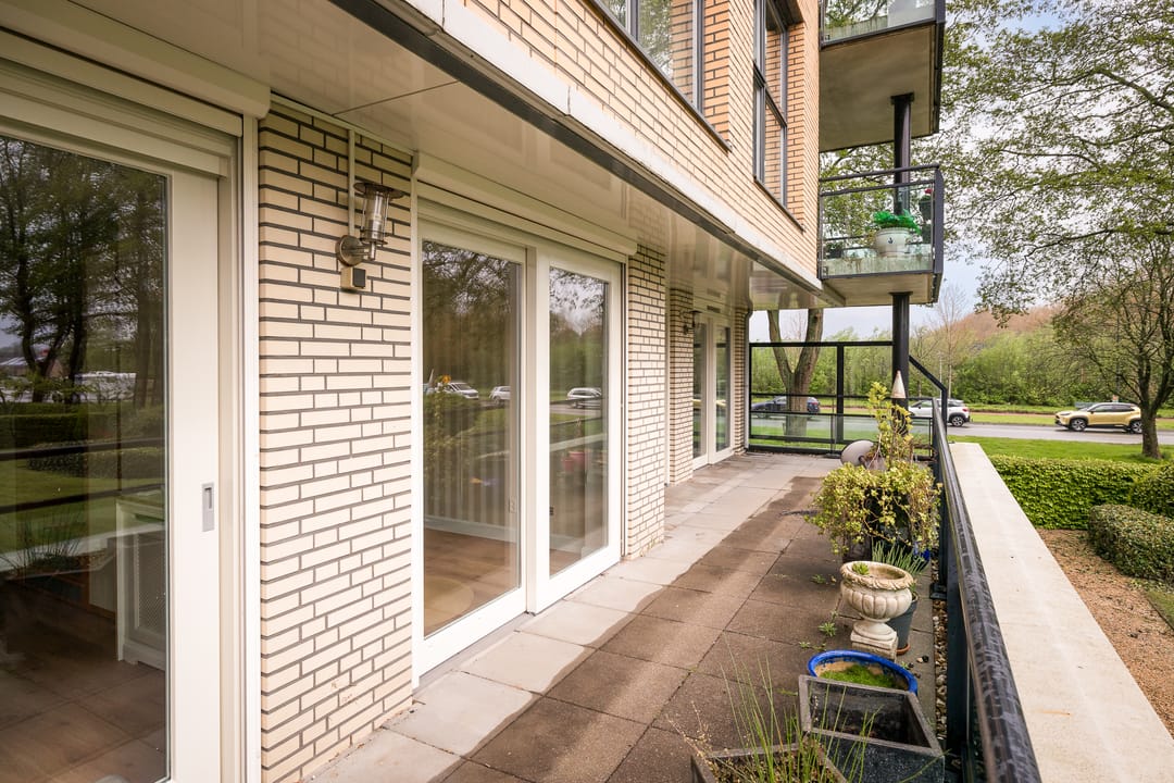 Foto 31 van Het Voert 6