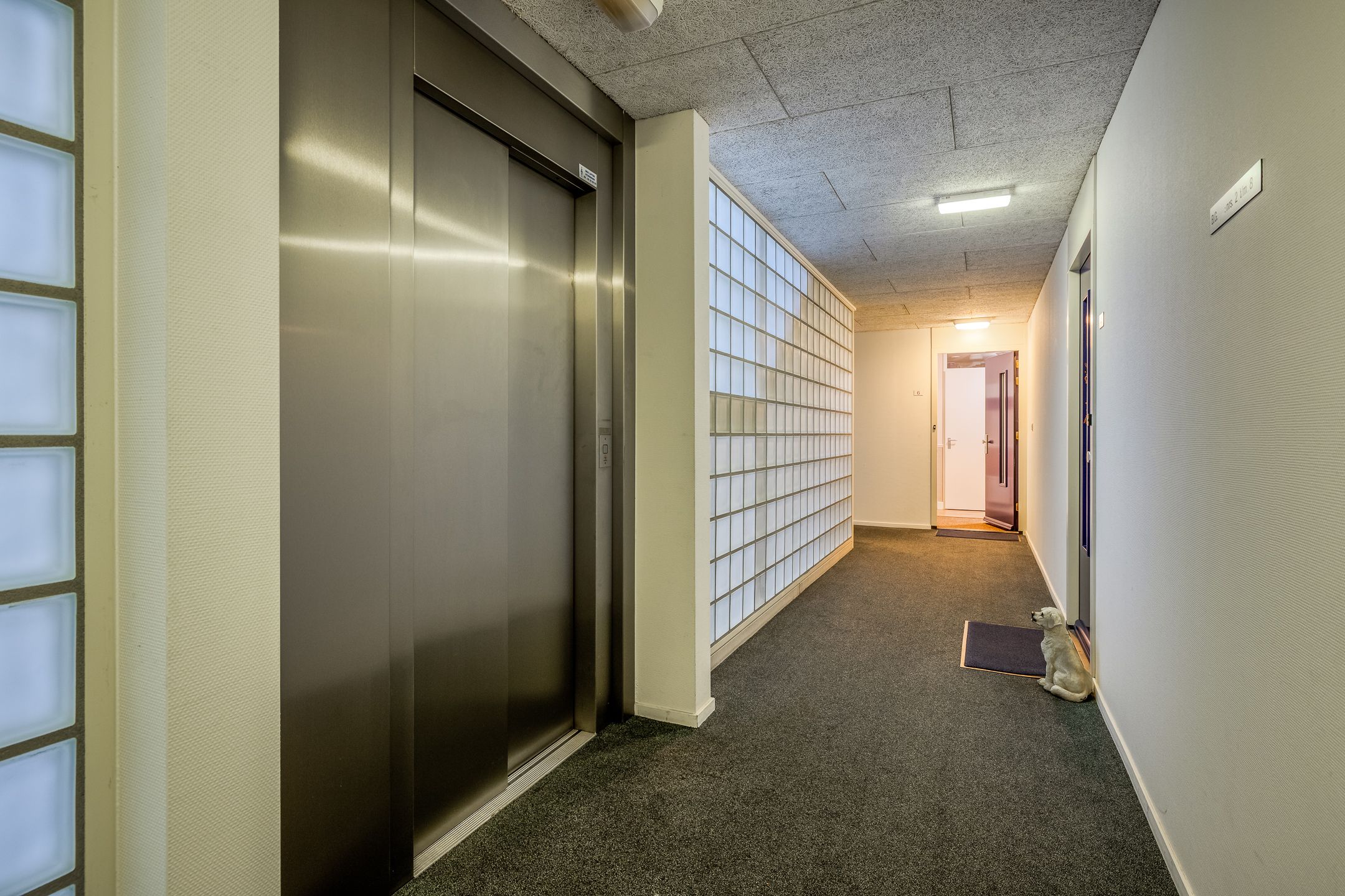 Foto 39 van Het Voert 6