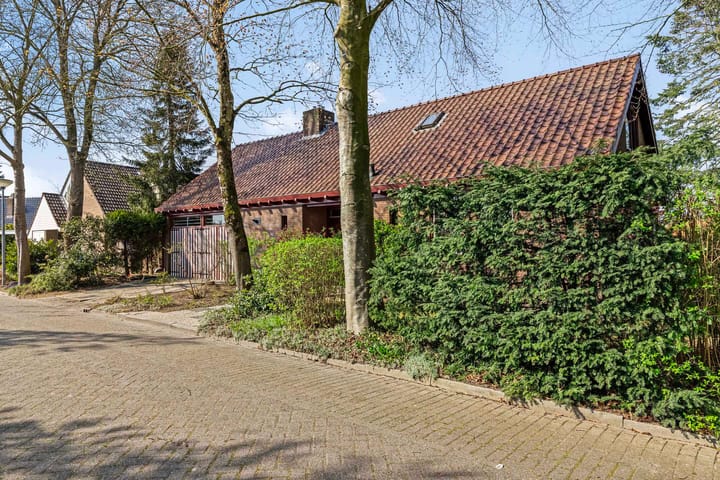 Foto 44 van de Tinge 8