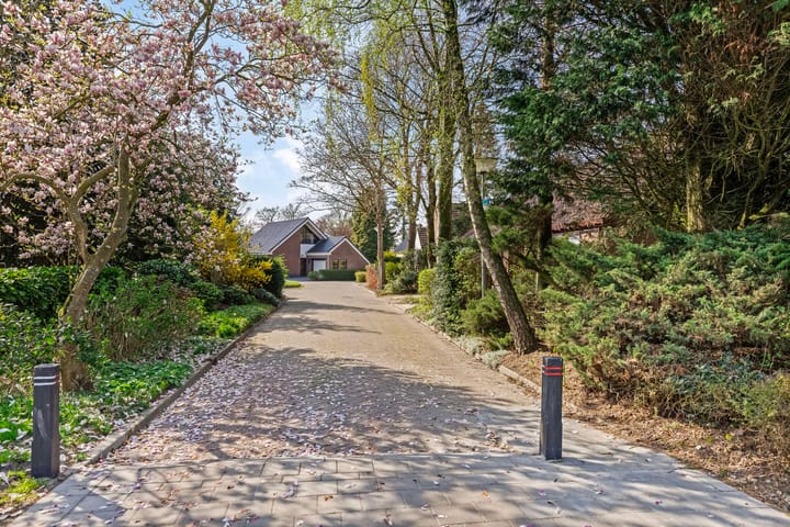 Foto 46 van de Tinge 8