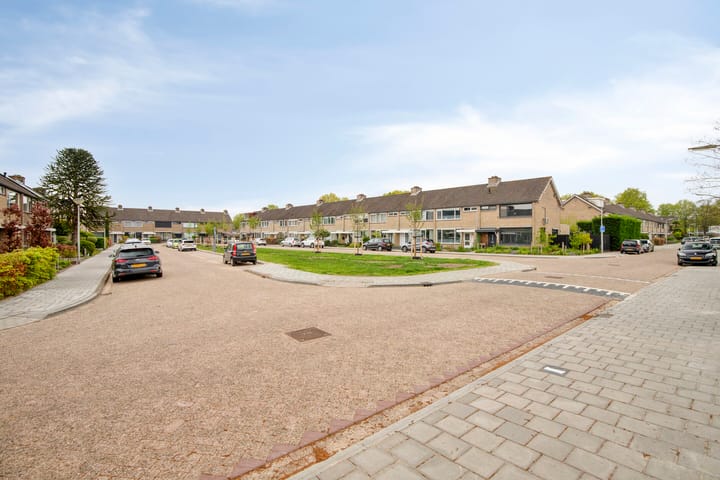 Foto 19 van Brederolaan 74