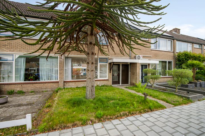 Foto 21 van Brederolaan 74