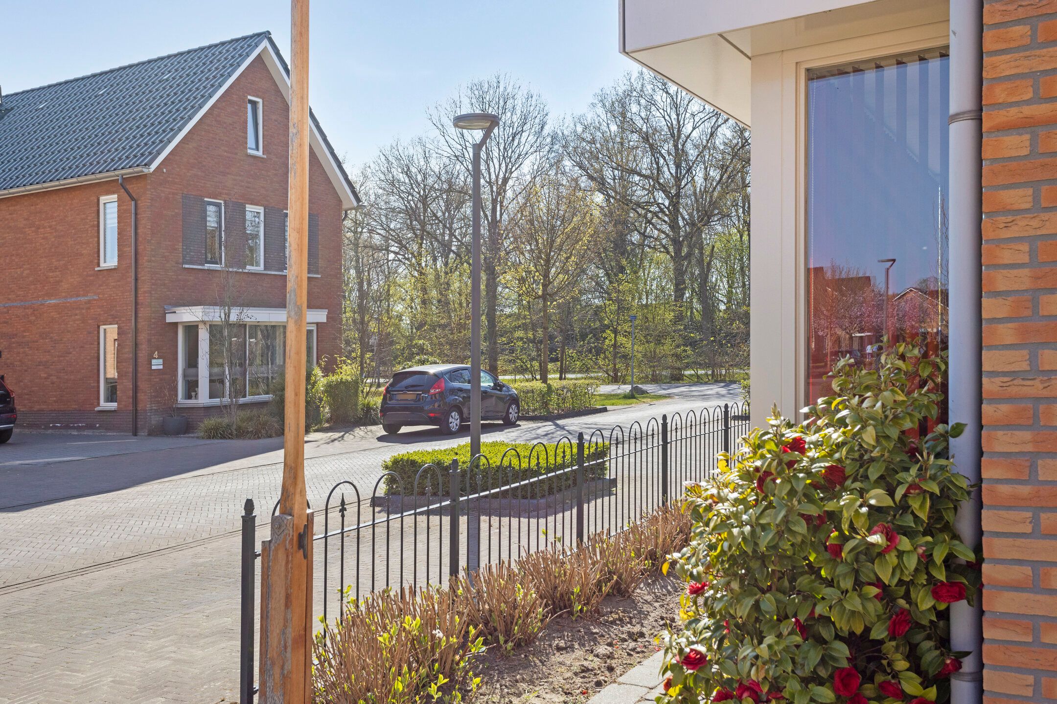 Foto 9 van Aalscheer 3