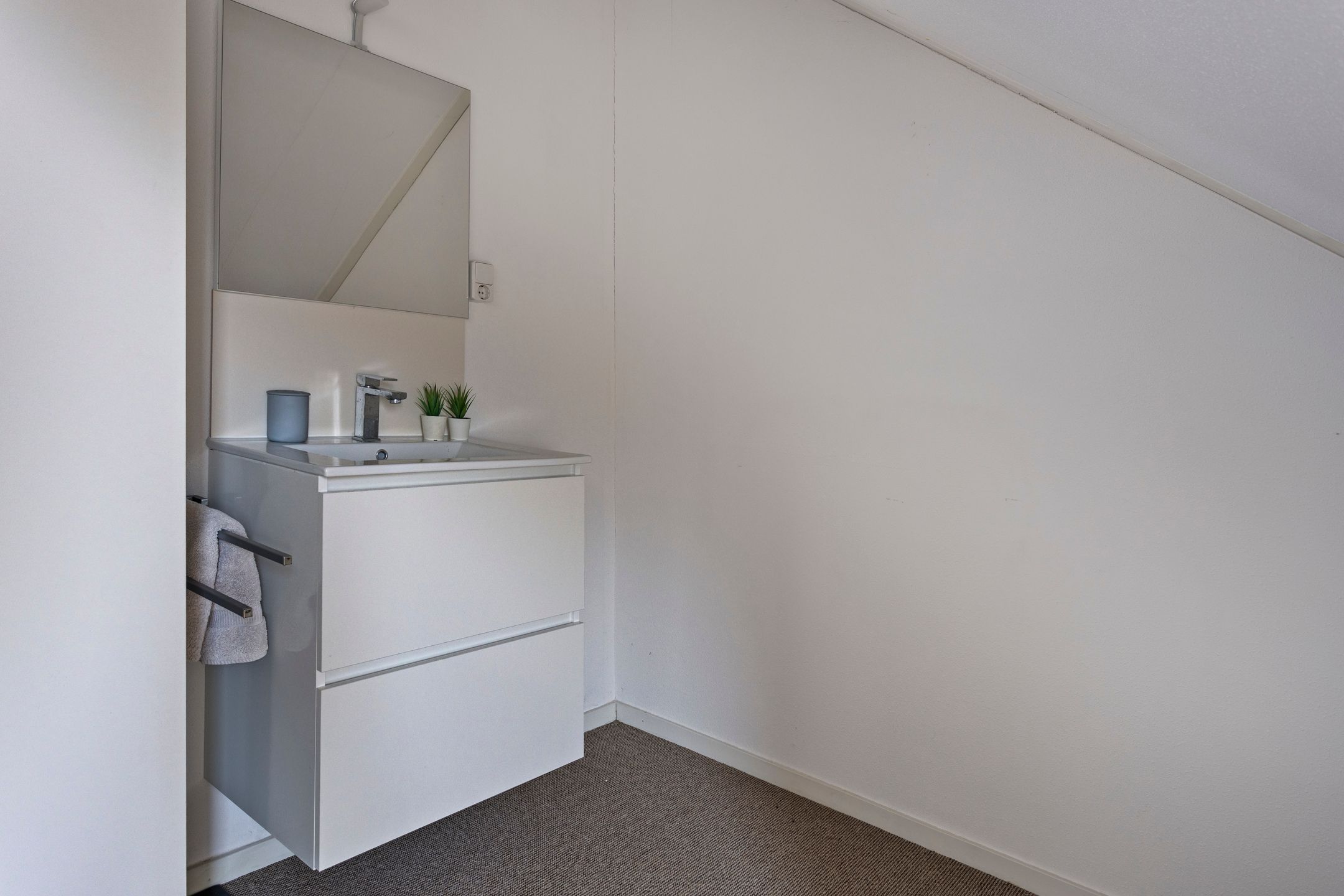 Foto 36 van Aalscheer 3