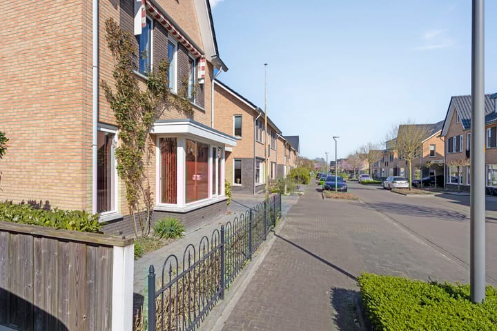 Foto 41 van Aalscheer 3