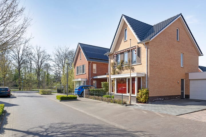 Foto 42 van Aalscheer 3